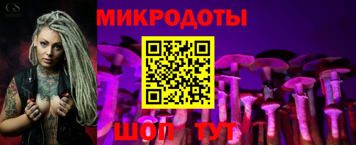 Галлюциногенные грибы Psilocybine cubensis Рославль